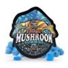 Treehouse Gummies