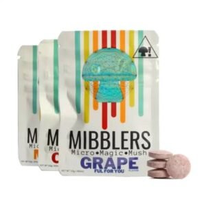 Mibblers Mushroom